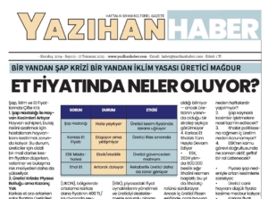 13. Sayımız Dijital ortamda
