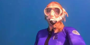 Yasemin Kay Allen’ın Okyanus Macerası!