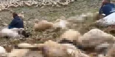 Yaylada Yıldırım faciası