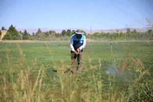 Battalgazi Belediyesi’nden Yeşil Atılım!