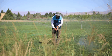 Battalgazi Belediyesi’nden Yeşil Atılım!