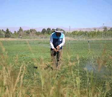 Battalgazi Belediyesi’nden Yeşil Atılım!