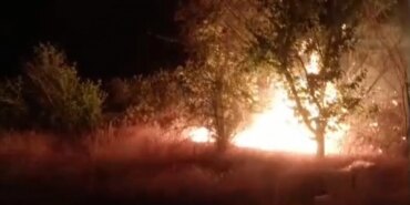 Darende’de Akşam Vakti Ot Yangını Paniğe Neden Oldu