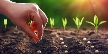 Tarım Girdi Fiyat Endeksi Açıklandı