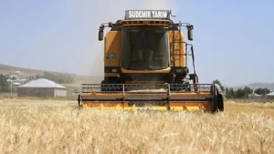 TMO 225 Bin Ton Arpa mı Alacak?