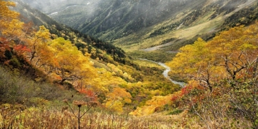 “Topraklarınıza Sahip Çıkın!!”