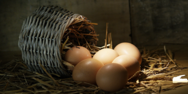 Yumurta İhracatçısına Müjde!