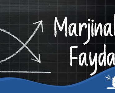 Yatırımlar Dibe Vurmuş