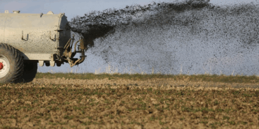Çiftçide Gübre Yok, Tohum Oluşmadı