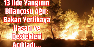 Orman Yangınları: 13 İlde 128 Milyon TL Zarar