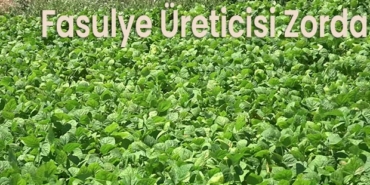 “Bu Sene de Yüzümüz Gülmedi”