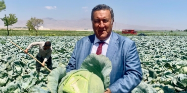 Lahana Çiftçiye Umut Veriyor