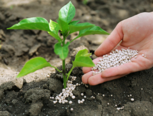 Üre Gübresine Büyük Zam
