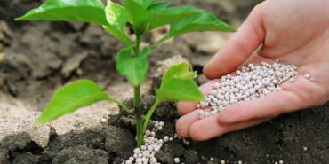 Üre Gübresine Büyük Zam