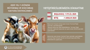 Destekleme Başvuruları Başladı