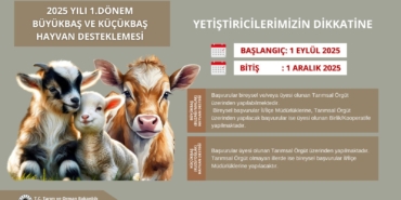 Destekleme Başvuruları Başladı