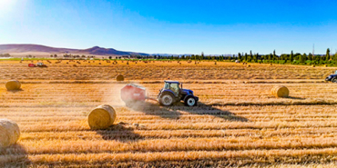 Üretim Artıyor, Satış Düşüyor