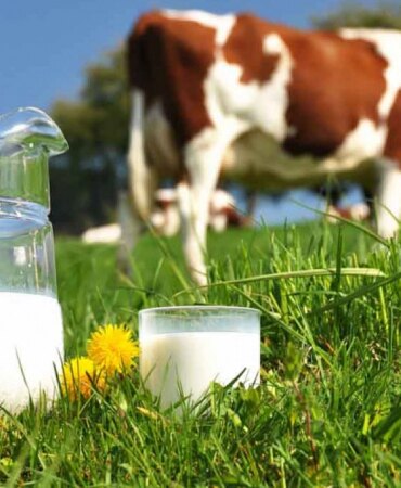 İTHAL ET DÖNEMİ KAPANIYOR YAZIHANHABER Genel Yayın Yönetmeni ZEKİ KÖSEOĞLU Yazdı