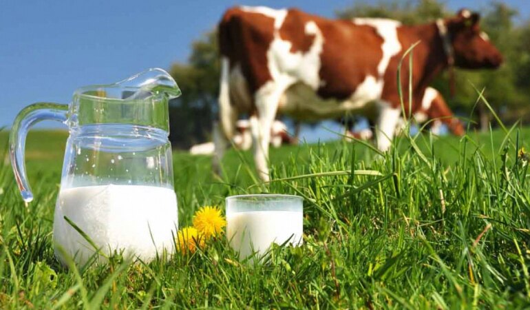 İTHAL ET DÖNEMİ KAPANIYOR YAZIHANHABER Genel Yayın Yönetmeni ZEKİ KÖSEOĞLU Yazdı