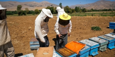 Osman Akar: Arıcılık Doğayı Yeniler