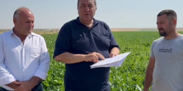 Verimli tarım için toplulaştırma şart