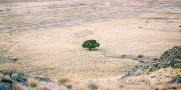 Şaka Değil.. Gerçekten Kiralayacaklar!!