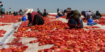 Diyarbakır’dan Avrupa’ya Kuru Domates