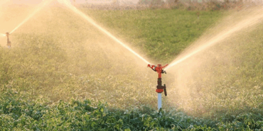 Çiftçilere 274 Milyon TL Destek Ödemesi Yapıldı