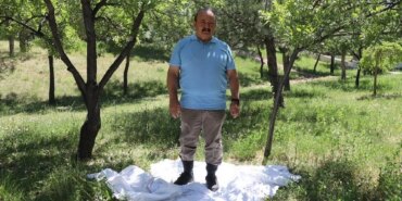 Kene İlaçlamasında Dikkat! Yanlış Yöntemler Tehlikeli