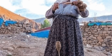 Drejan Halı ve Kilimi