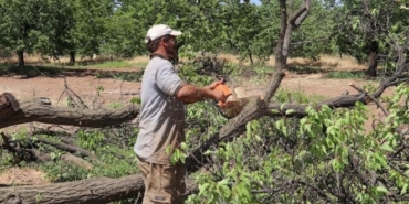 Zirai Don  Hasar Paraları Yatıyor