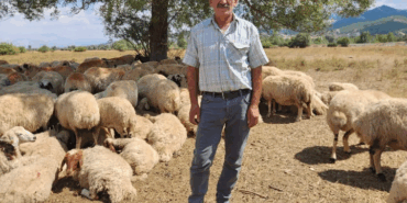 Çoban Maaşı 130 Bin!!