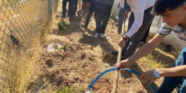 Yeşil vatan için Bir Fidan