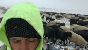 Zenginyurt Yaylasında İlk kar