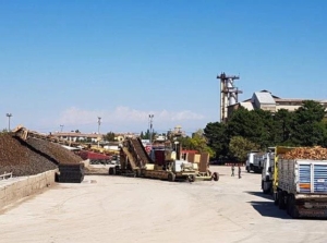 Pancar Alım Kampanyası Devam Ediyor