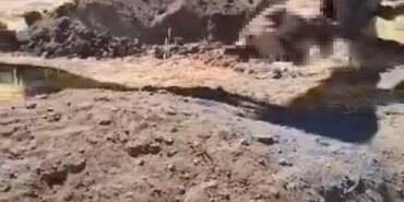 Ölü Hayvanı Mahallede Gömünce İsyan Patladı!