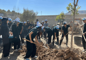 Yeşillendiren Belediyeler de Var