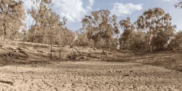 Sarıbal: “Yeraltı Suları Tükeniyor”