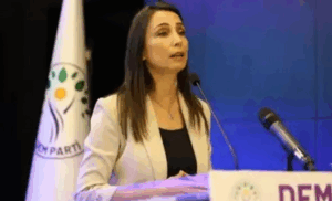 Dem Parti: Komisyon Cesur Olmalı