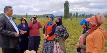 Tarımda kadın var ama güvencede ve gelirde adı yok