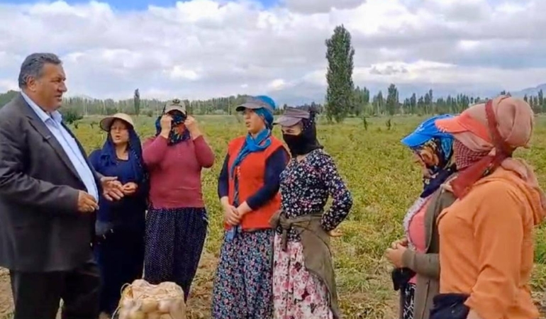 Tarımda kadın var ama güvencede ve gelirde adı yok