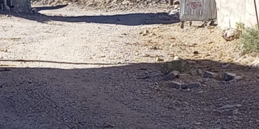 Karaca Yolları Yarım Yamalak