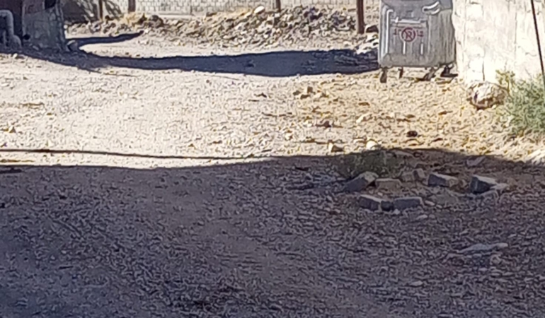 Karaca Yolları Yarım Yamalak