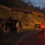 Hayvan Yüküyle Devrilen Çekici, İhbarla Kurtarıldı