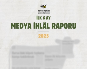 Hayvan Hakları İhlal Raporu