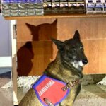 "Kayseri’de Kaçak Sigara Operasyonu: 800 Paket Ele Geçirildi"
"Jandarmadan Kaçakçılığa Darbe: 800 Paket Sigaraya El Konuldu"
"Kayseri’de ‘ŞOK’ Kontrol: Bandrolsüz 800 Paket Sigara Yakalandı"
"Kaçak Sigara Operasyonunda 800 Paket Ele Geçirildi"
"Jandarma, Kayseri’de Kaçak Sigara Operasyonu Düzenledi"
 
"Kayseri’de Kaçak Sigara Operasyonu: 800 Paket Ele Geçirildi"
"Jandarmadan Kaçakçılığa Darbe: 800 Paket Sigaraya El Konuldu"
"Kayseri’de ‘ŞOK’ Kontrol: Bandrolsüz 800 Paket Sigara Yakalandı"
"Kaçak Sigara Operasyonunda 800 Paket Ele Geçirildi"
"Jandarma, Kayseri’de Kaçak Sigara Operasyonu Düzenledi"