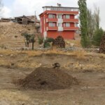 Köylerde Tezek Hazırlığı: Kışa Hazır Bekliyorlar Köylerde Tezek Hazırlığı: Kışa Hazır Bekliyorlar