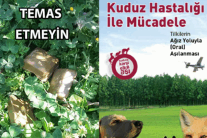 Aman Dikkat!! Temas Etmeyin!!