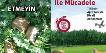 Aman Dikkat!! Temas Etmeyin!!