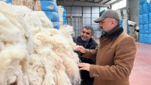 Malatya’da Yünler Ekonomiye Kazandırılıyor!